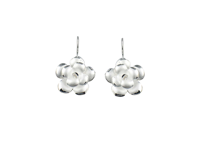 Rhodium Plated | Fashion Earrings